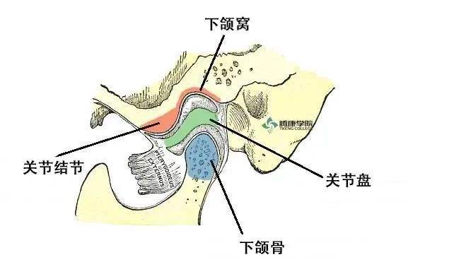 颞下颌关节疾病 颞下颌关节疾病中最为多见的疾病是