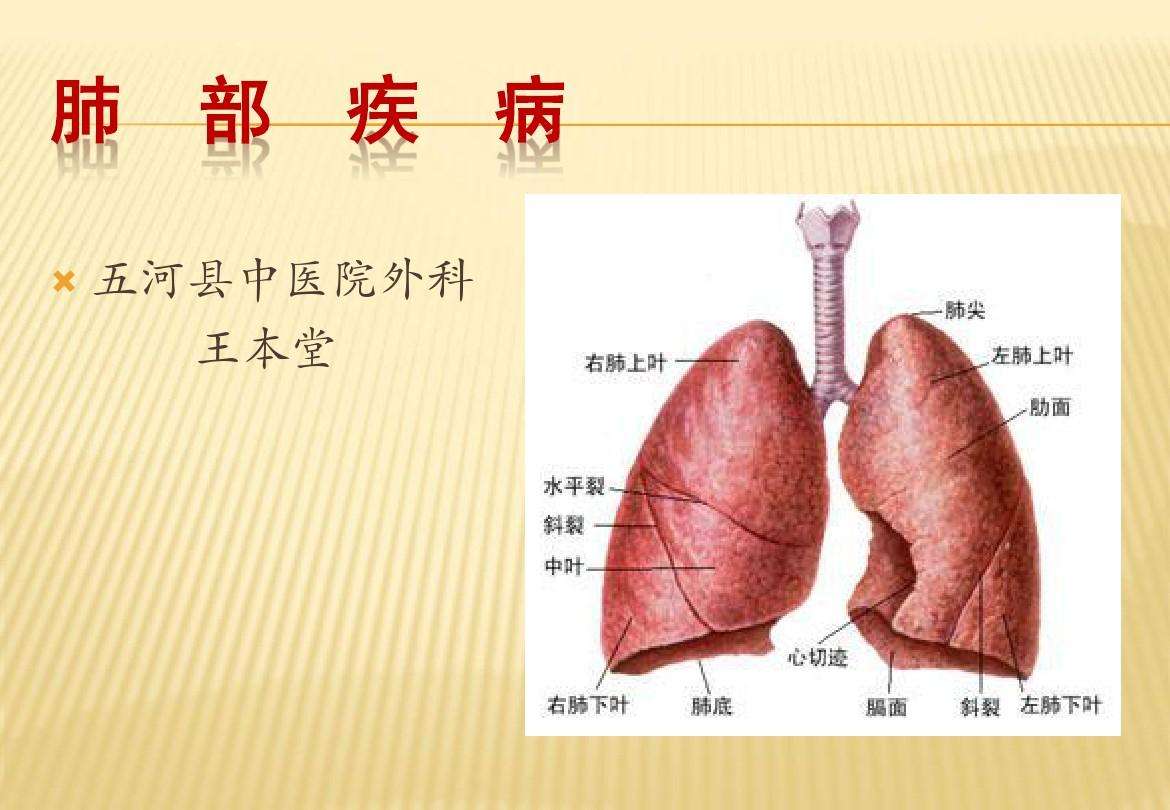 疾病的疾是什么意思 疾病中的疾的意思是什么