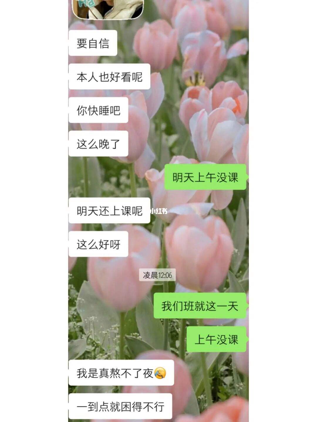 巨蟹男和天枰女 巨蟹男和天秤女为什么老是吵架