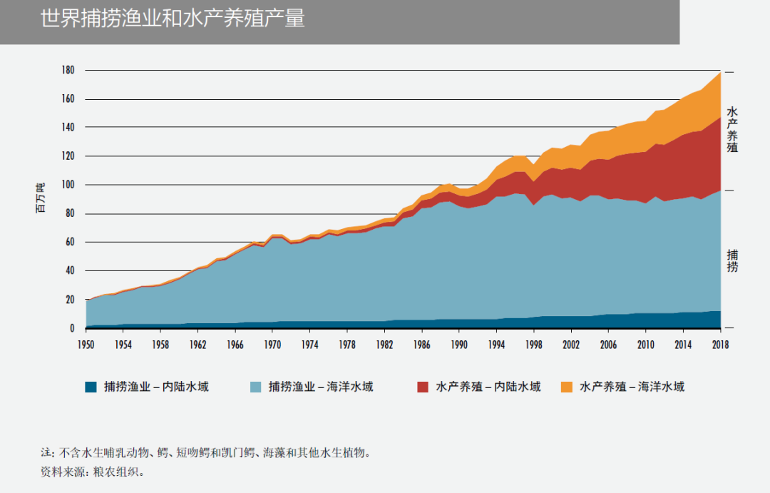 排水量是什么意思 船的吃水量和排水量是什么意思