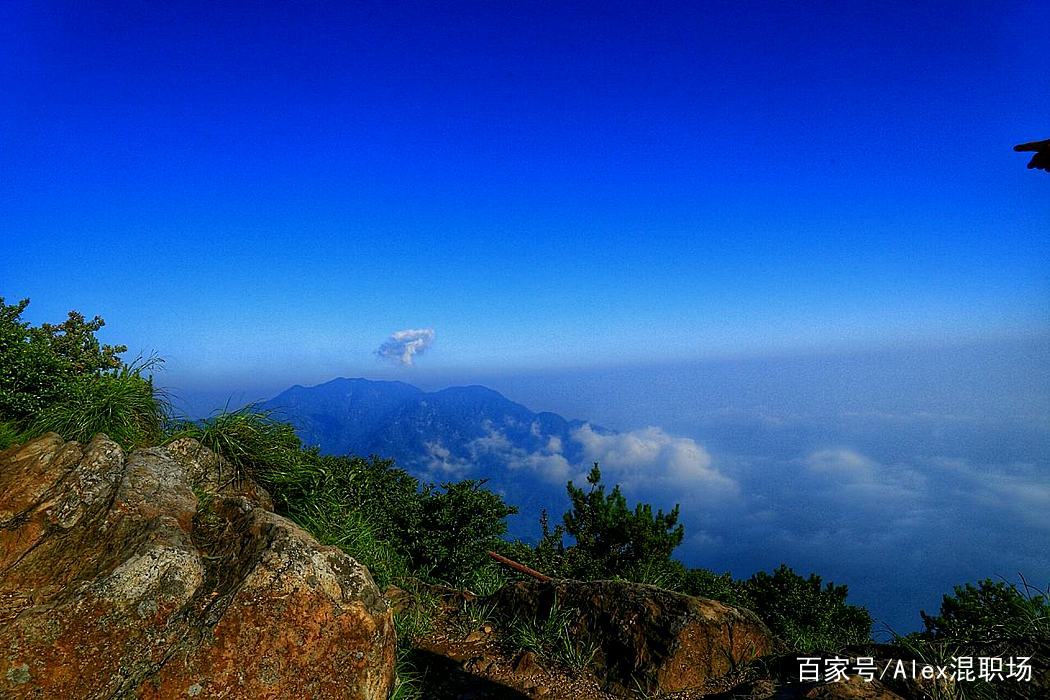 什么的风景 什么的风景作文600字