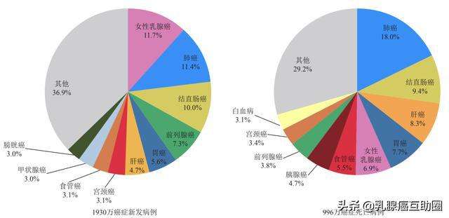 严重疾病有哪些 比较严重的疾病有哪些