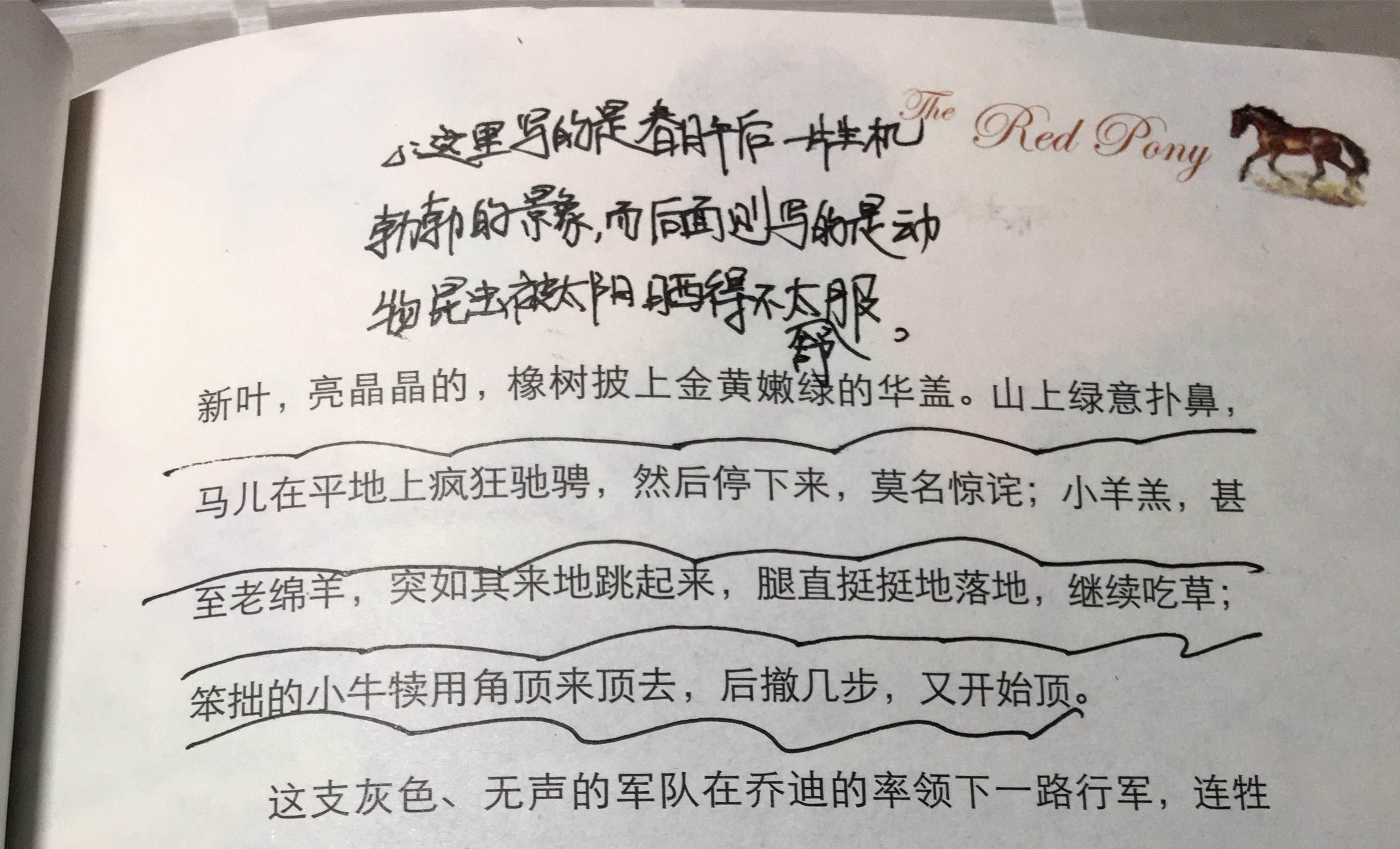 批注是什么意思 阅读批注是什么意思