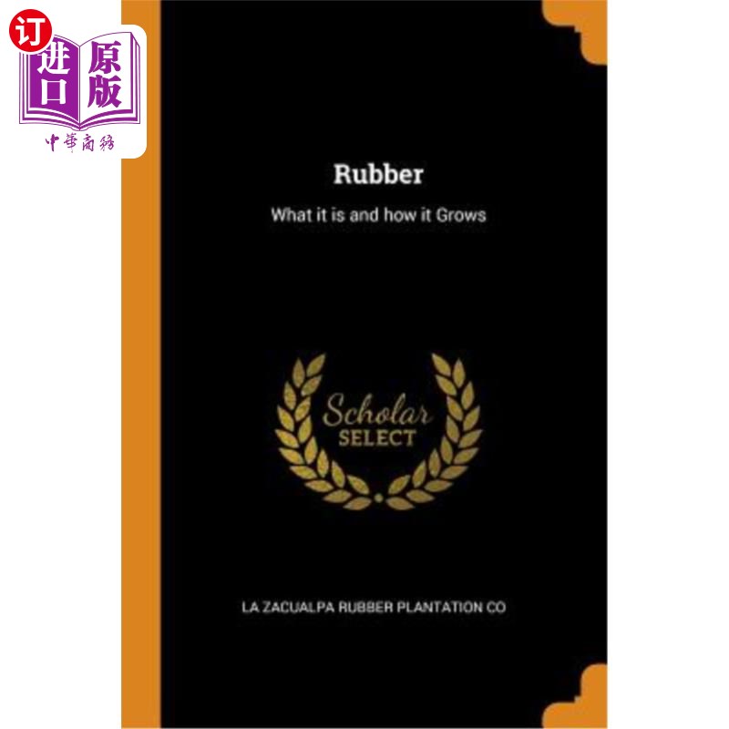 rubber是什么意思 rubber是什么意思中文