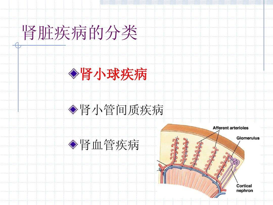 肾小管疾病 遗传性肾小管疾病