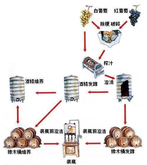 如何制作葡萄酒 如何制作葡萄酒照片