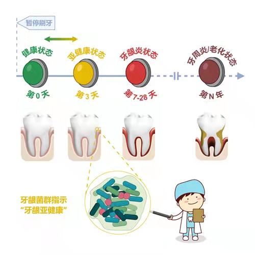 牙周疾病 牙周疾病三级预防