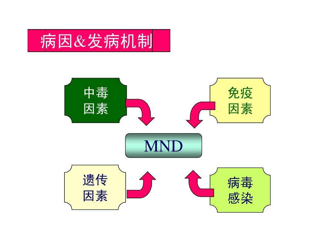 免疫系统疾病 免疫系统疾病能活多久