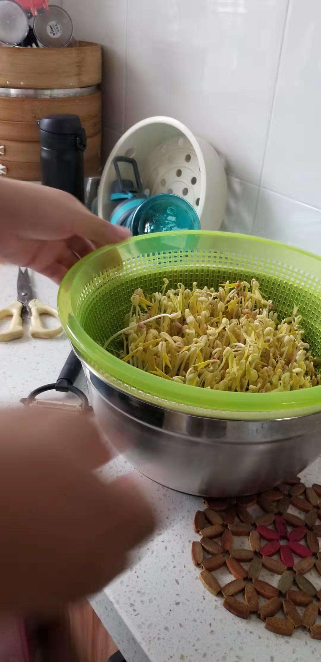 如何发豆芽 夏天如何发豆芽