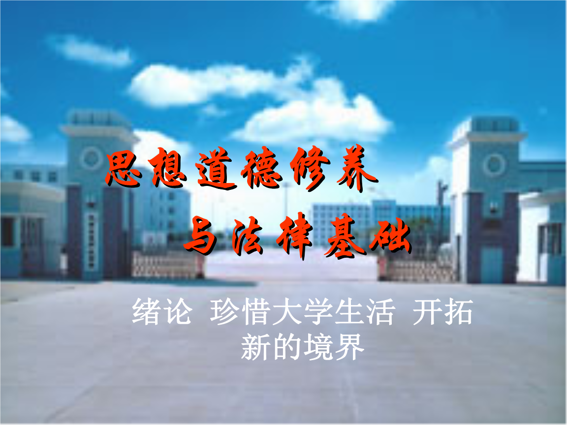 思想道德与法律 思想道德与法律基础社会实践报告