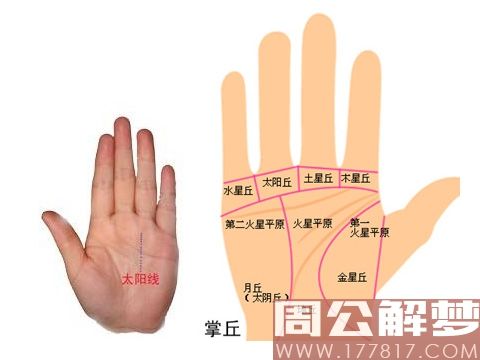 如何看掌纹 如何看掌纹线算命图解 女性