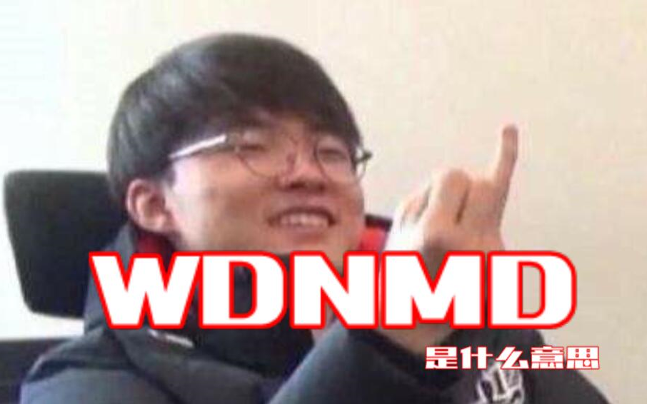 wdnmd什么意思 wdnmd什么意思 视频