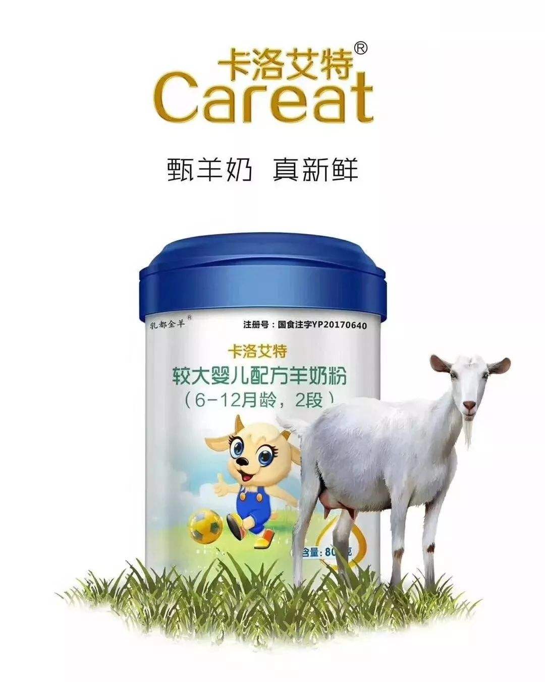 陕西金牛乳业 陕西金牛乳业羊奶粉