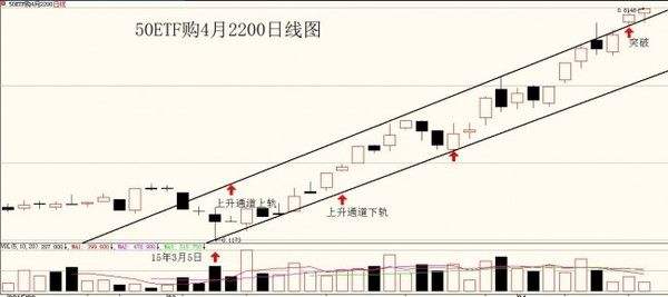 金牛九段 金牛座三段牛什么意思