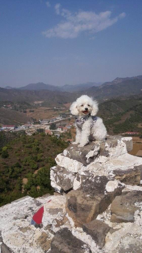 白羊峪风景区 白羊峪风景区门票多少钱