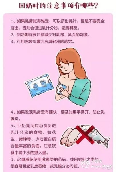 如何回奶 如何回奶不得乳腺炎