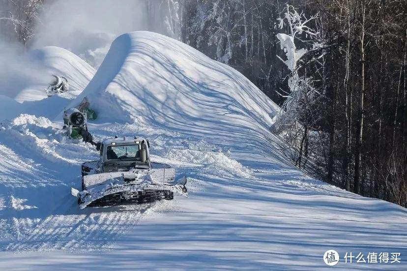 想要玩雪去哪 玩雪去哪里好玩