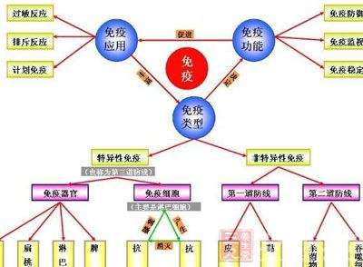 如何增强抵抗力 小孩如何增强抵抗力