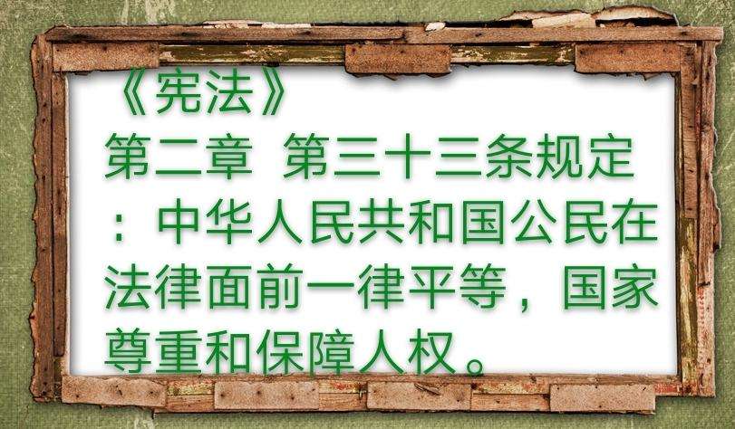 法律面前一律平等 法律面前一律平等包括立法平等吗