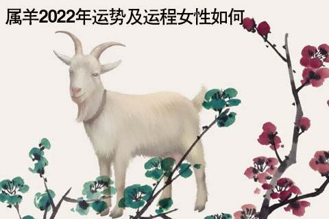 属羊月份运势 属羊月份运势2022