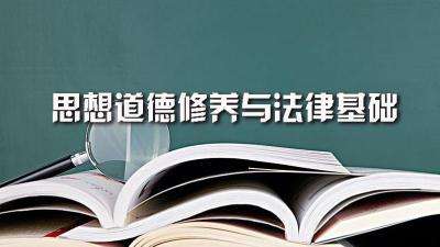 法律的本质 宪法和法律的本质