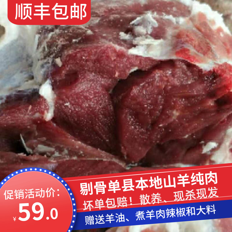 白羊肉 白羊肉多少钱一斤