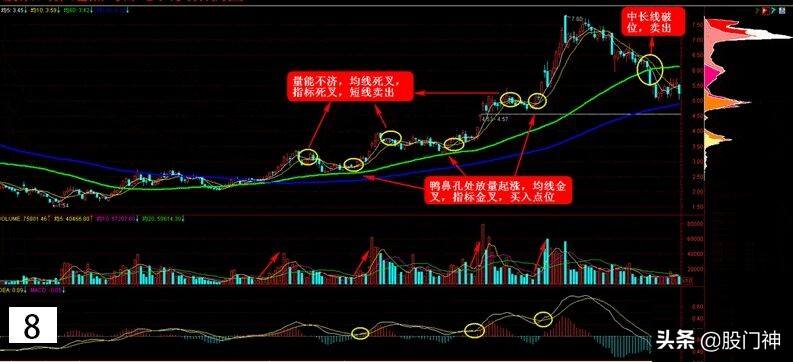 股市老鸭头形态 股市中老鸭头是什么形态