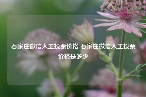 石家庄微信人工投票价格 石家庄微信人工投票价格是多少