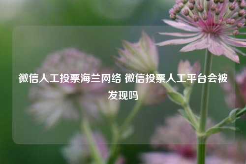 微信人工投票海兰网络 微信投票人工平台会被发现吗