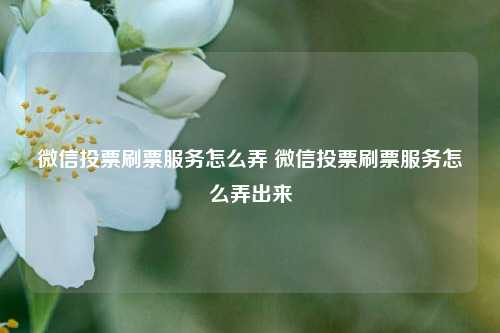 微信投票刷票服务怎么弄 微信投票刷票服务怎么弄出来