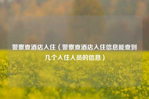 警察查酒店入住（警察查酒店入住信息能查到几个入住人员的信息）