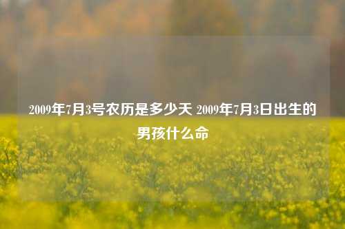 2009年7月3号农历是多少天 2009年7月3日出生的男孩什么命