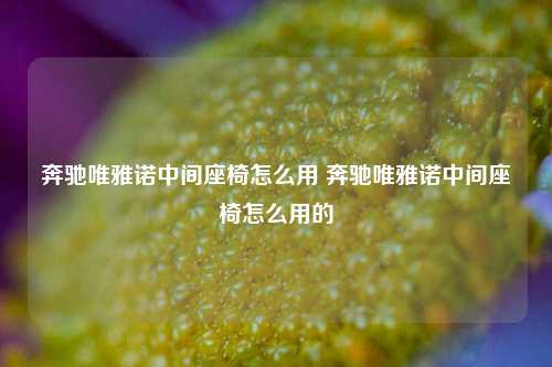 奔驰唯雅诺中间座椅怎么用 奔驰唯雅诺中间座椅怎么用的