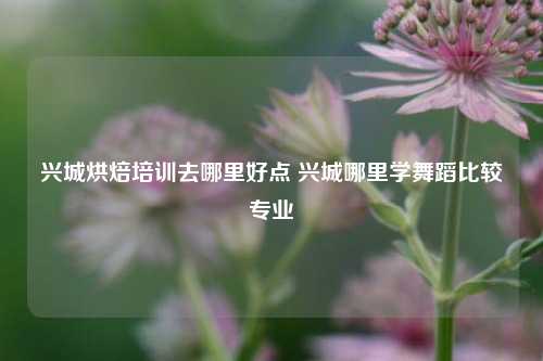 兴城烘焙培训去哪里好点 兴城哪里学舞蹈比较专业