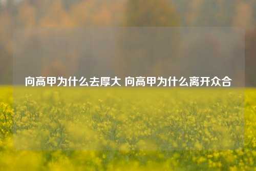 向高甲为什么去厚大 向高甲为什么离开众合