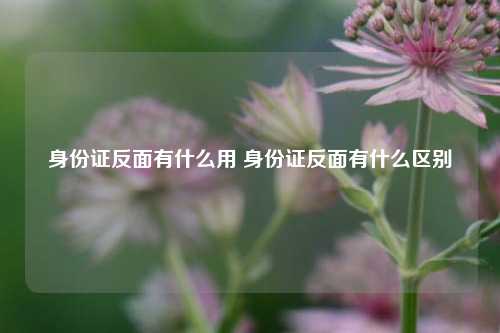 身份证反面有什么用 身份证反面有什么区别