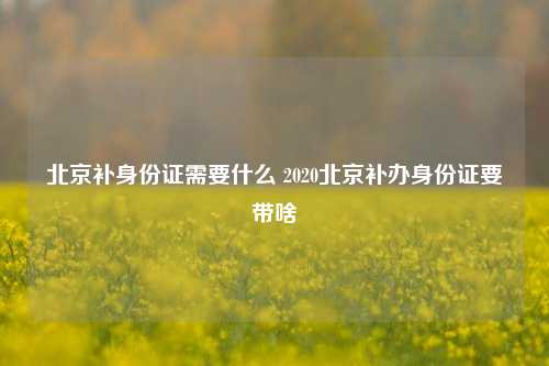 北京补身份证需要什么 2020北京补办身份证要带啥