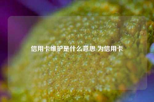 信用卡维护是什么意思 为信用卡