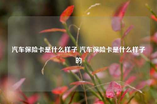 汽车保险卡是什么样子 汽车保险卡是什么样子的