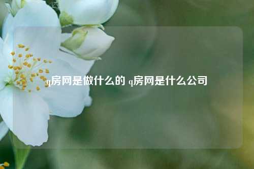 q房网是做什么的 q房网是什么公司