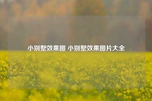 小别墅效果图 小别墅效果图片大全