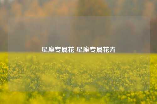 星座专属花 星座专属花卉