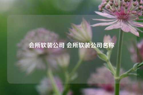 会所软装公司 会所软装公司名称