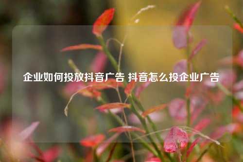 企业如何投放抖音广告 抖音怎么投企业广告